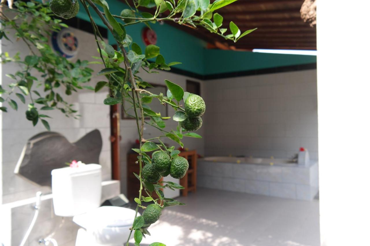 1000 Dream Bungalow Lovina Εξωτερικό φωτογραφία
